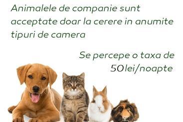 پانسیون Vila Privilege Felix