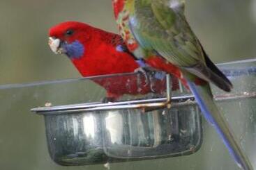 Dream Views At Arthurs Seat B & B