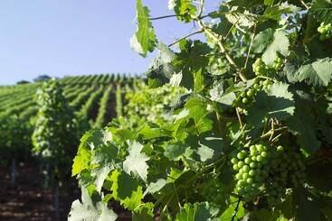 Hotel Restaurant Zum Nachtwächter