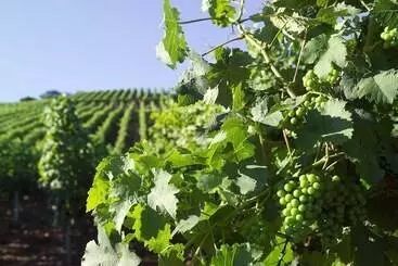 Hotel Restaurant Zum Nachtwächter