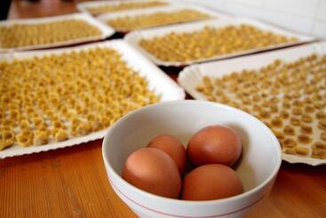 فندق صغير Locanda Il Gigante