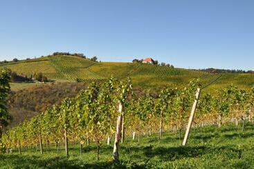 مبيت وإفطار Weingut Kögl