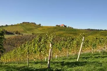 Bed and Breakfast Weingut Kögl