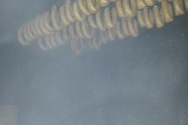 بنسيون Casa Do Escoivo