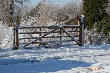 The Old Vicarage Bed And Breakfast