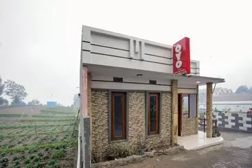 Szálló Pieter Homestay Bromo By Oyo Rooms