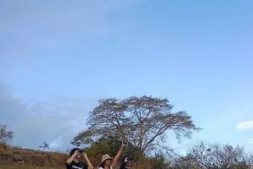 Bed and Breakfast Taman Menjangan Homestay By Snorkelingmenjangan