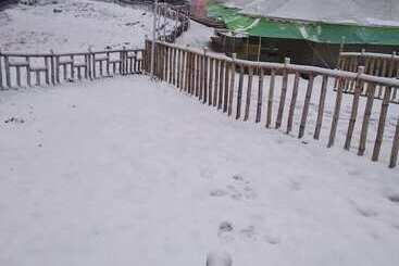 Hotell Junglee Camps & Resort