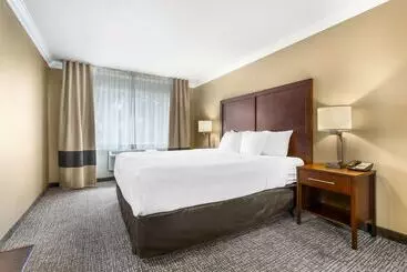 酒店 Comfort Inn & Suites Redwood Country