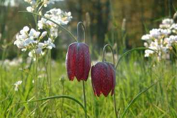 Seehotel Gut Dürnhof