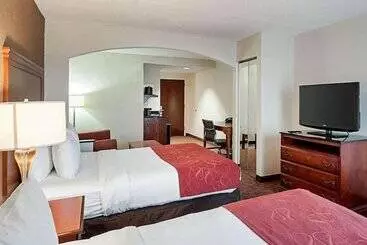 酒店 Comfort Suites Dulles Airport