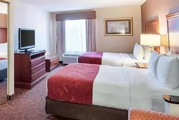 Otel Comfort Suites Dulles Airport