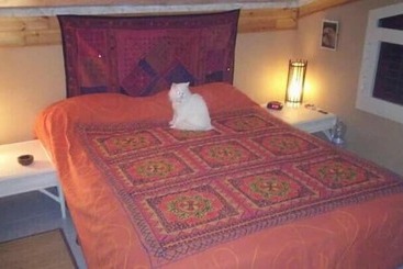 膳宿费 Oasi Liv   Affittacamere