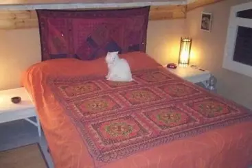 Majatalo Oasi Liv   Affittacamere