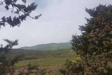 Pensió Al Bosco Ficuzza B&b