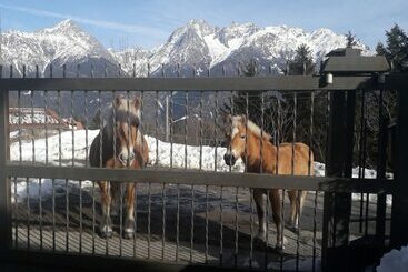 Пансион Salvino