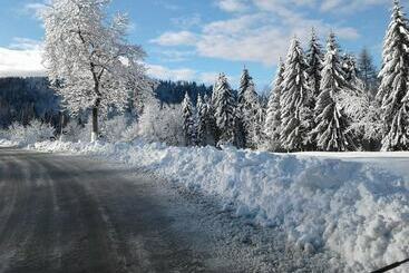 פונדק Albergo Ristorante Forcelletto