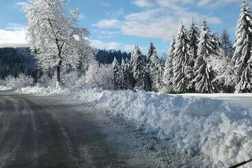 Hostelli Albergo Ristorante Forcelletto
