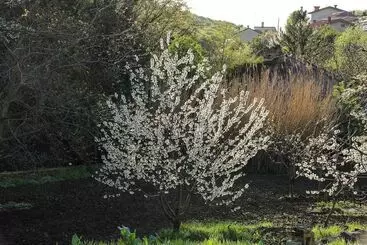 Rio Farneto B&b