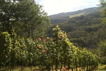B&b Bosco Dei Cervi