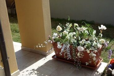 مبيت وإفطار Emozioni D Estate