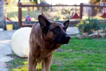 هتل روستایی Molino Della Volta