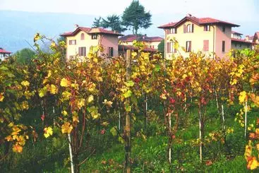 田舎風ホテル Ricci Curbastro Agriturismo