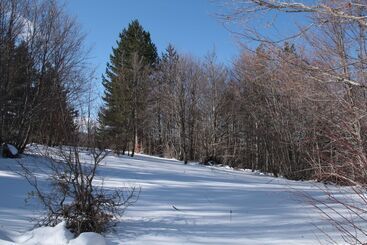 National Park Hotel & Spa