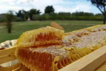 Hotel di Montagna I Sicomori   Seme Di Carota   Glamping E Appartamenti Con Piscina A Saturnia