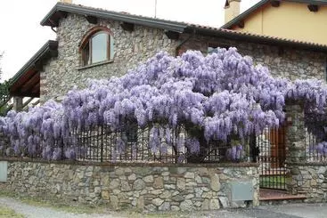 Pietra E Glicine B&b
