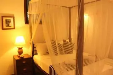 Pensjonat Pedlar 62 Guest House
