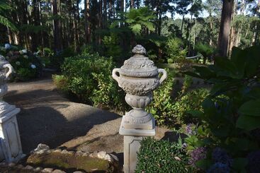 Fern Cottage At Fern Falls Cottages
