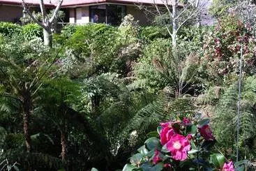 ペンション Adelaide Hills B&b Accommodation