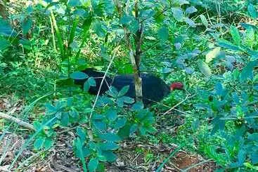 Aamiaismajoitus (B&B) The Country House At Hunchy Montville