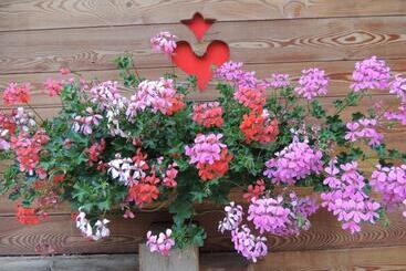 酒店 Albergo Al Fontanin