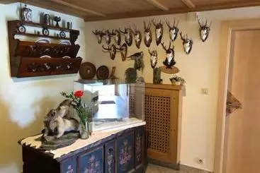 Hôtel Pension Liesertalerhof