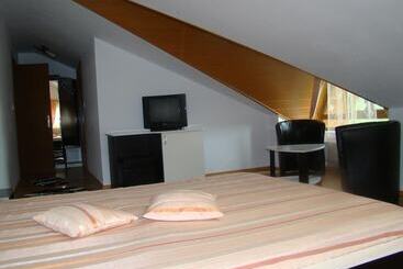 ホテル Pensiunea Floare De Colt