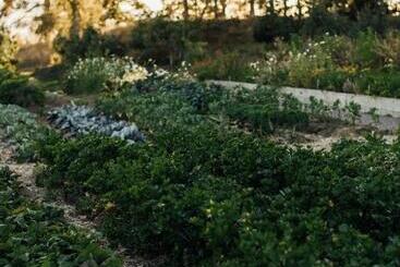 בית מלון כפרי Lindeborgs Eco Retreat