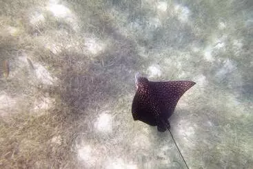 ホテル Maya Beach