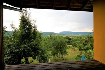 Пансион Chuchi Guest House 1