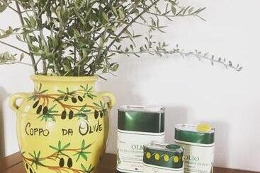 בית מלון כפרי Agriturismo Podere Rondinaio