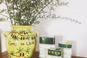 Maaseutuhotelli Agriturismo Podere Rondinaio