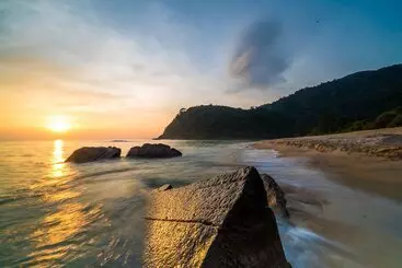 Hôtel 1511 Coconut Grove