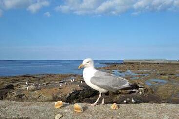 膳宿费 La Rose Des Mers