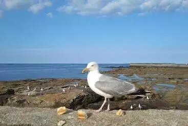 Majatalo La Rose Des Mers