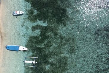 تختخواب و صبحانه Casa Koko