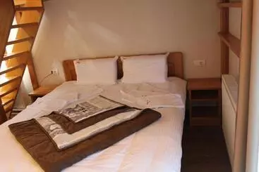 Bed and Breakfast Vila Madera Pribojska Banja