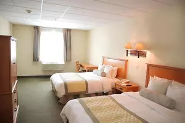 Hotel Antaris Galerias