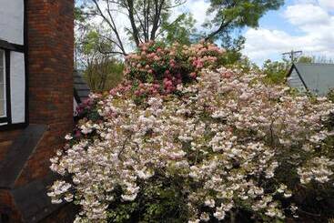 فندق Merrimeet Cottages