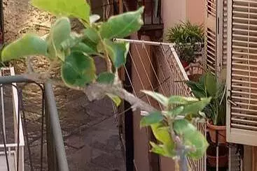 B&b Vento Di Terra